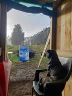 Coco's Retreat