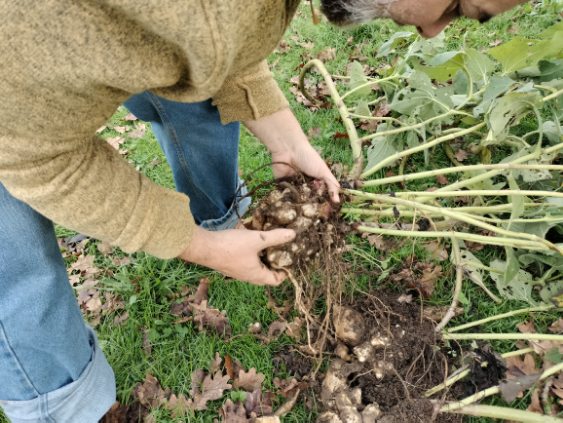 FEEDTRACK™   Agricultural system protecting your soil and waterways from pollution.